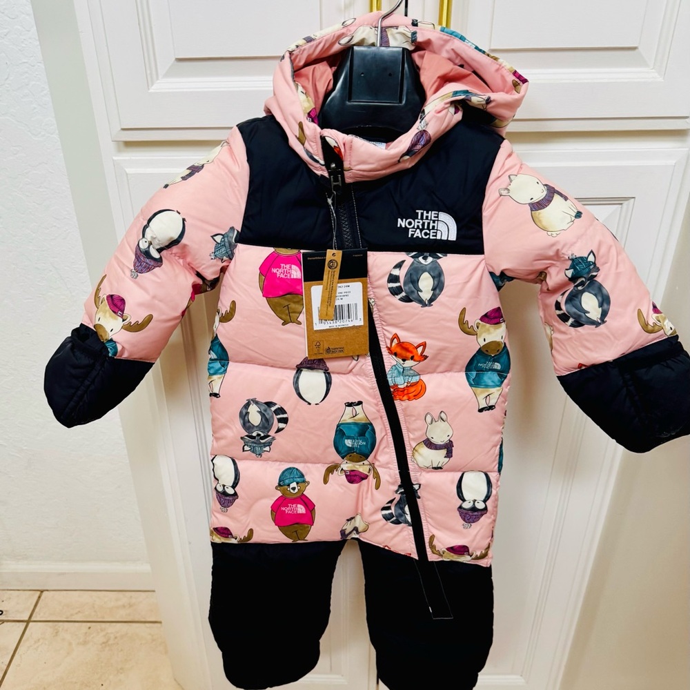 NWT The North Face Infant Nuptse 700 Down One Piece Snowsuit/Bunting